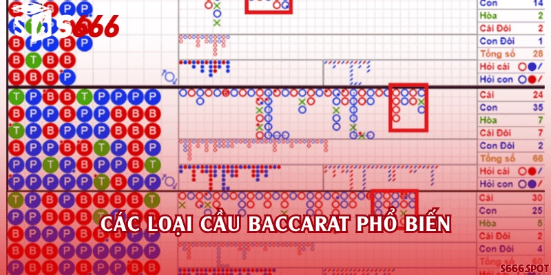 Các loại cầu Baccarat phổ biến