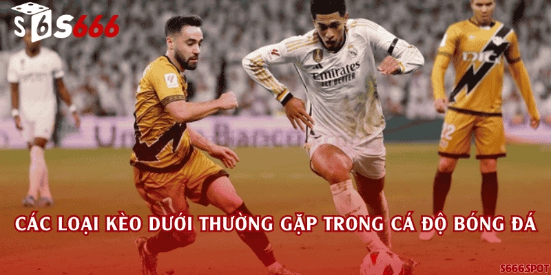 Các loại kèo dưới thường gặp trong cá độ bóng đá