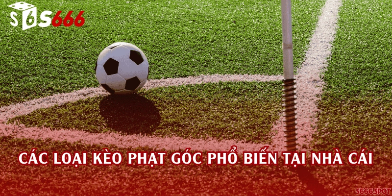 Các loại kèo phạt góc phổ biến tại nhà cái