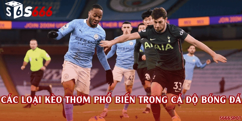 Các loại kèo thơm phổ biến trong cá độ bóng đá