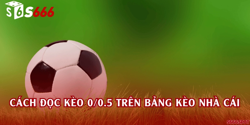Cách đọc kèo 0/0.5 trên bảng kèo nhà cái