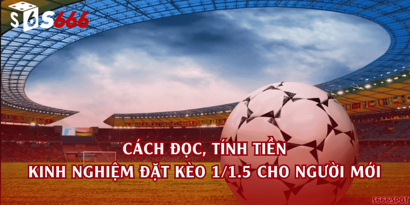Cách đọc, tính tiền và kinh nghiệm đặt kèo 1/1.5 cho người mới