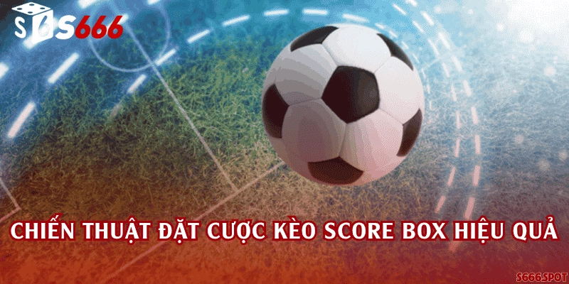 Chiến thuật đặt cược kèo score box hiệu quả