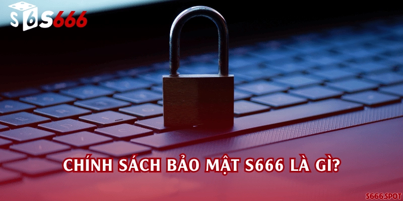 Chính sách bảo mật S666 là gì?