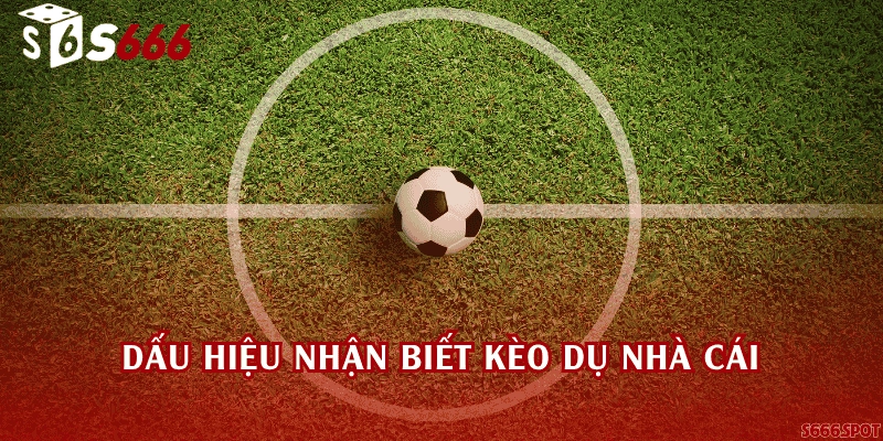 Dấu hiệu nhận biết kèo dụ nhà cái