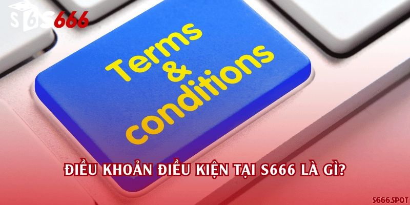 Điều khoản điều kiện tại S666 là gì?