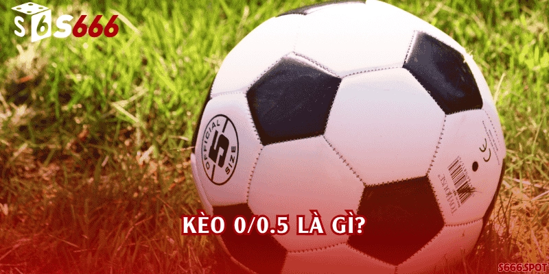 Kèo 0/0.5 là gì?