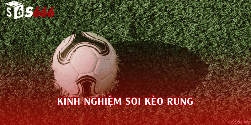 Kinh nghiệm soi kèo rung